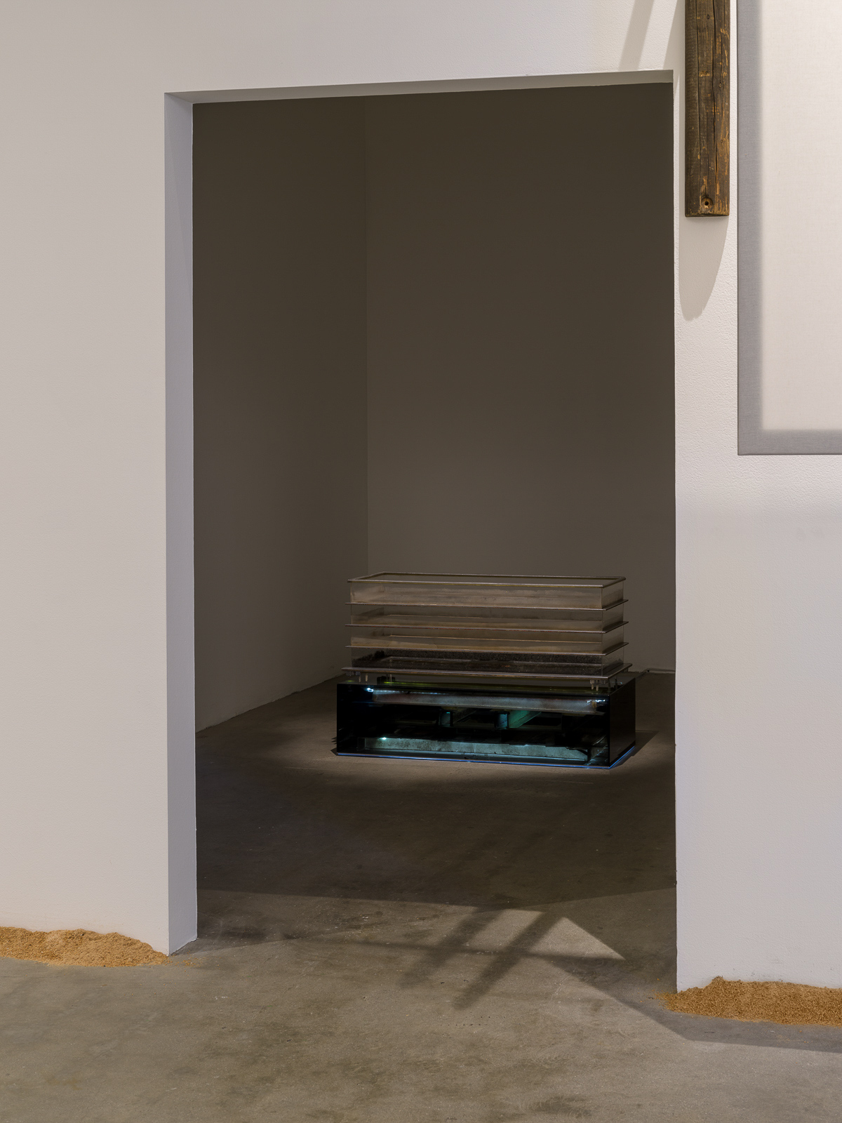 This is a color photograph of two artworks by Lukas Geronimas. The artwork is placed on the floor in a small room and can be seen through an open doorway. The artwork shown in the photo is Airy Copy Lane Chest, a sculptural work with a dimly lit, smoked-plexiglass base containing the elements that failed to be included in the finished version of the object atop the base. The object on top of the base are four tiers of hand-built webbing with puzzle pieces, framed in aluminum and plexiglass and dust. In the foreground in the larger attached room and along the perimeter of the floor and walls is another artwork titled Puzzledust, which is sawdust that was produced, collected and stored by the artist over the past two years